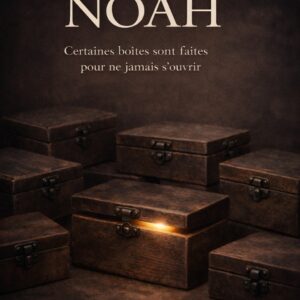 image de la couverture du roman les boîtes de Noah. Par Mathis Olivero
